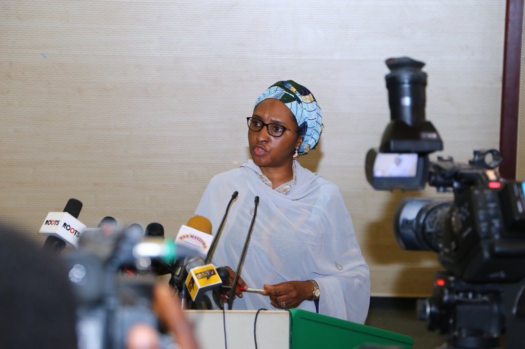 Zainab Ahmed, Minister of Finance
