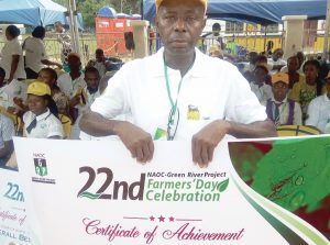Green fields of the Niger Delta