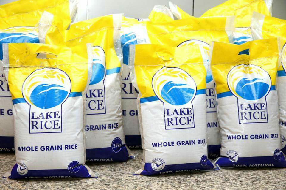 LAKE-RICE-1