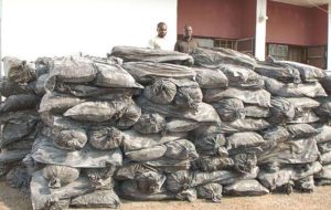 bags-of-cannabis