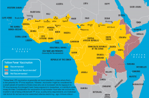 Halting the spread of yellow fever