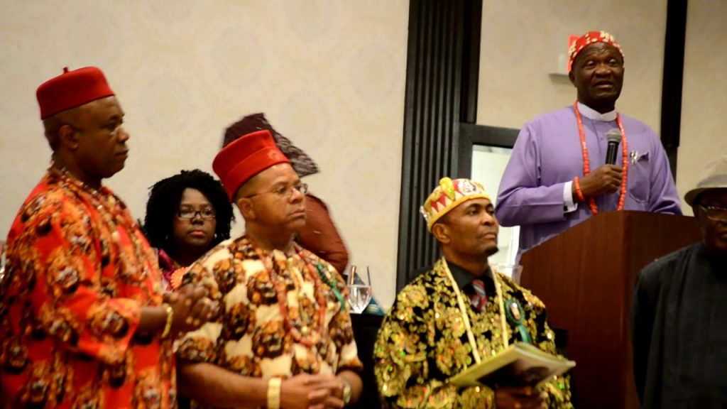 Chief Nnia Nwodo