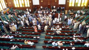 2019 budget: Rowdy session as Reps fume