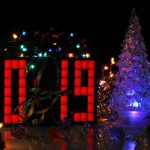 2019-winter-year-pig-new-years-48260