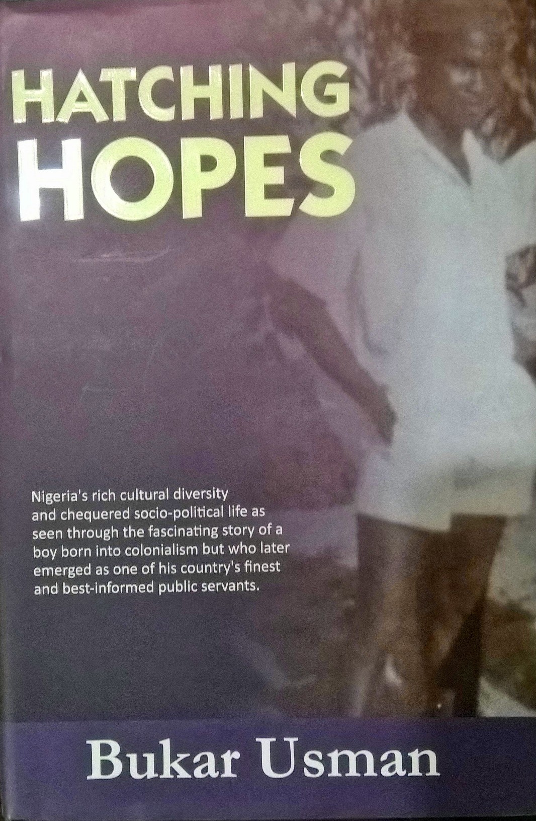 Book cover for book review