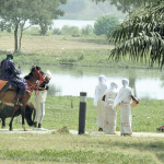 Jabi Lake Park