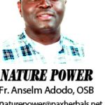 Nature power