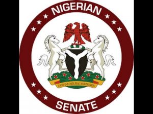 SENATE