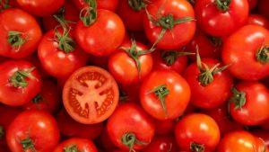 TOMATOES