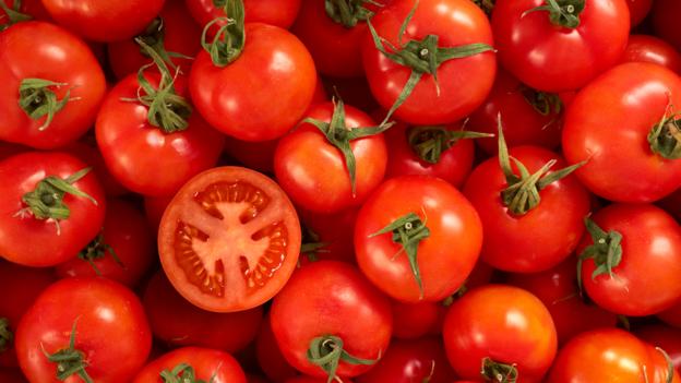 TOMATOES