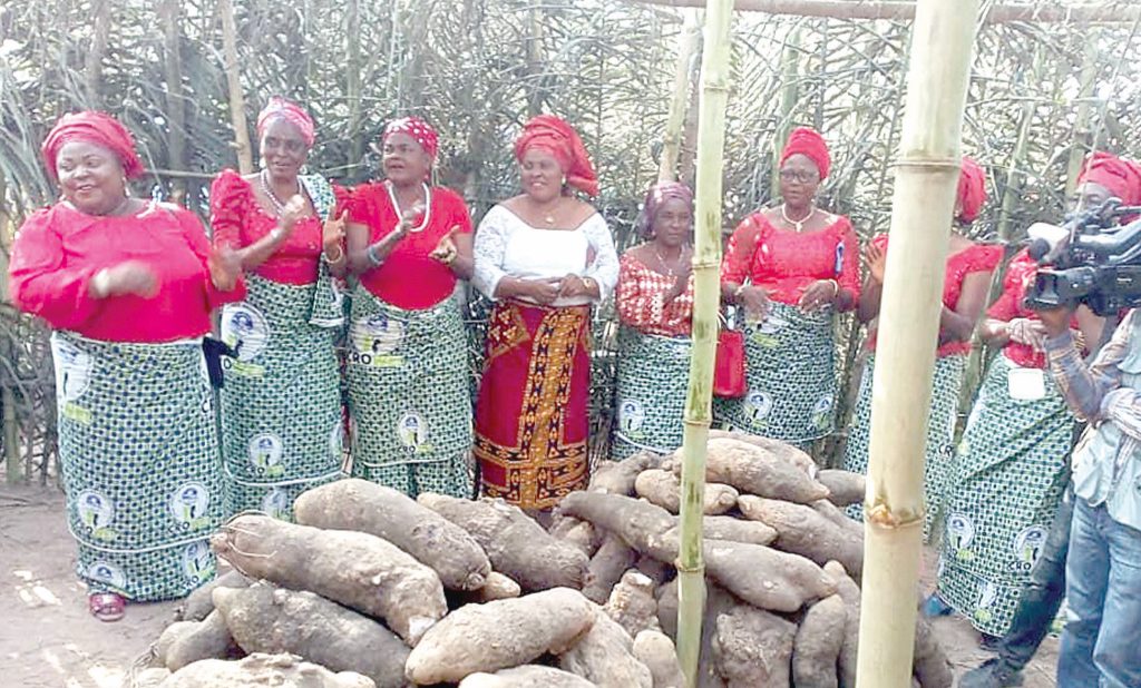 Women farmers displaying their yams.