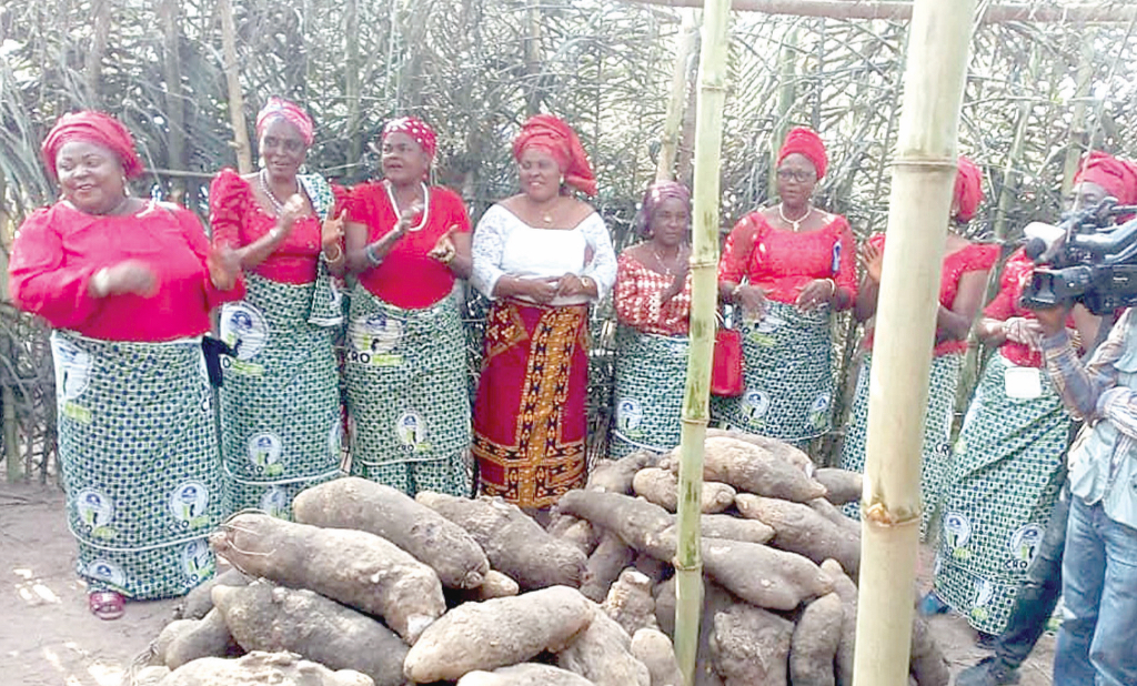 Women farmers displaying their yams.