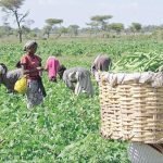 Food Security