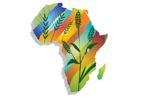 ebafosa