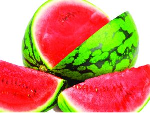 melon