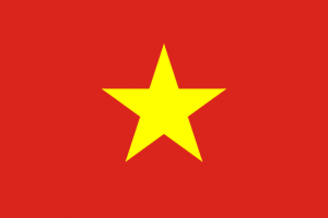 vn