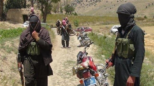 5 Taliban local leaders killed in Eastern Afghanistan