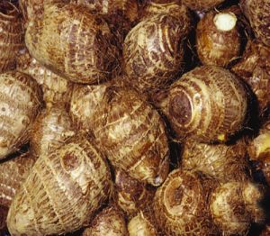 Cocoyam