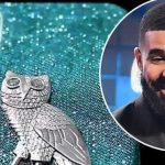 Drakes-diamond-iphone-cover