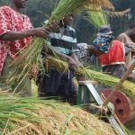 FG supports rice farmers