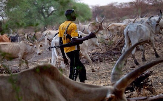 Again suspected herdsmen attack Benue communities