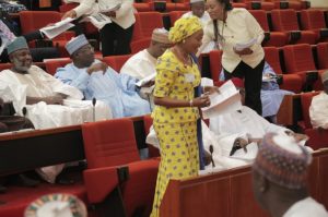 Senator-Tinubu