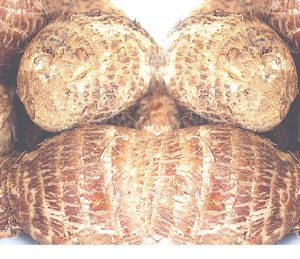 Cocoyam