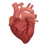 heart-failure-810×425
