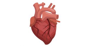 heart-failure-810×425