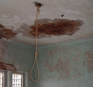 man hangs self