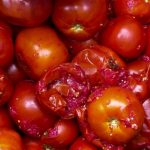 •Rotten tomatoes