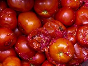 •Rotten tomatoes