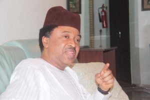 Shehu-Sani-4