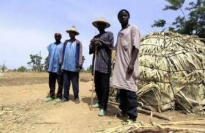 fulani