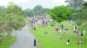 park