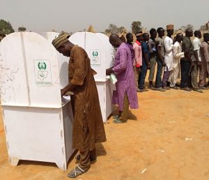 Domestic observers decry high number of invalid votes in Kebbi