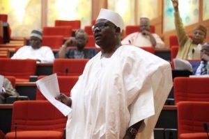 Ali Ndume