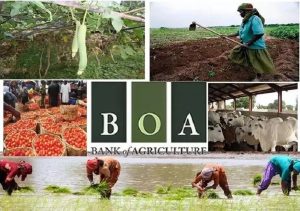 Bank of Agriculture(BoA)