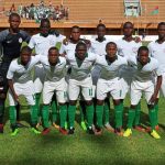 Eaglets-in-Niger