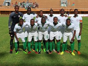 Eaglets-in-Niger