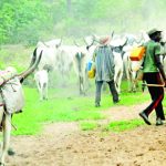 Fulani