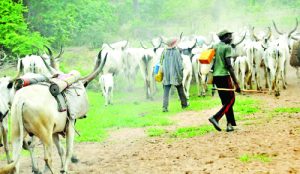 Fulani