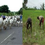 Herdsmen-and-Farmer