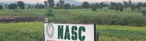 New-Article-2.-Soya-bean-seed-demonstration-farm-at-the-National-Agricultural-Seed-Council-in-Abuja-Nigeria