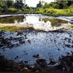 Oil-spill-impacted-site