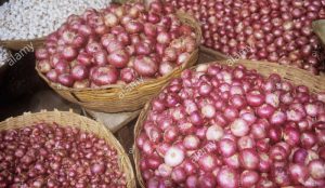 Onions