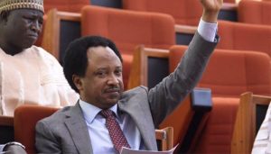 Shehu-sani-pic