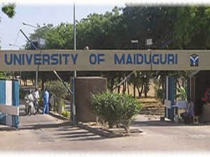 University-of-Maiduguri-500×375