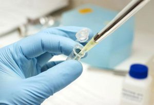 Vaccine-against-dengue-put-on-hold-in-Philippines