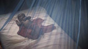 mosquito-net-1